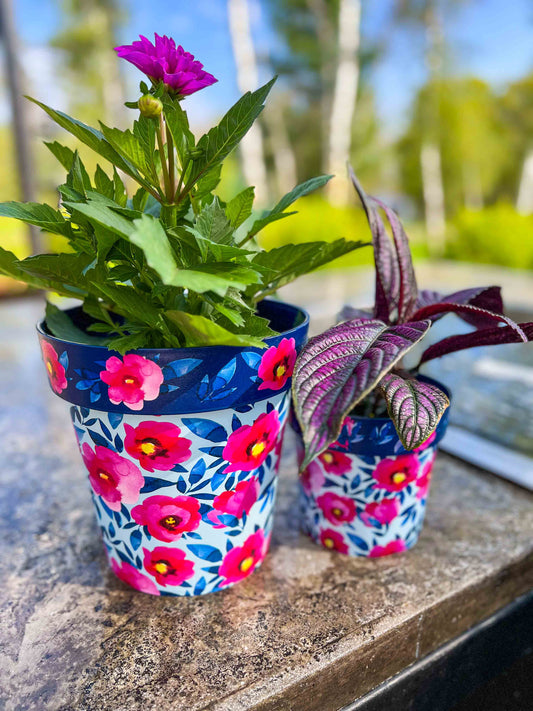 Pink Poppies Zest Pot