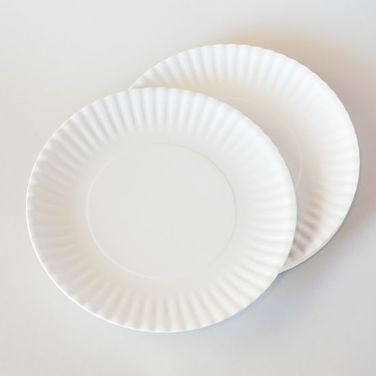 Melamine "Paper" Plate