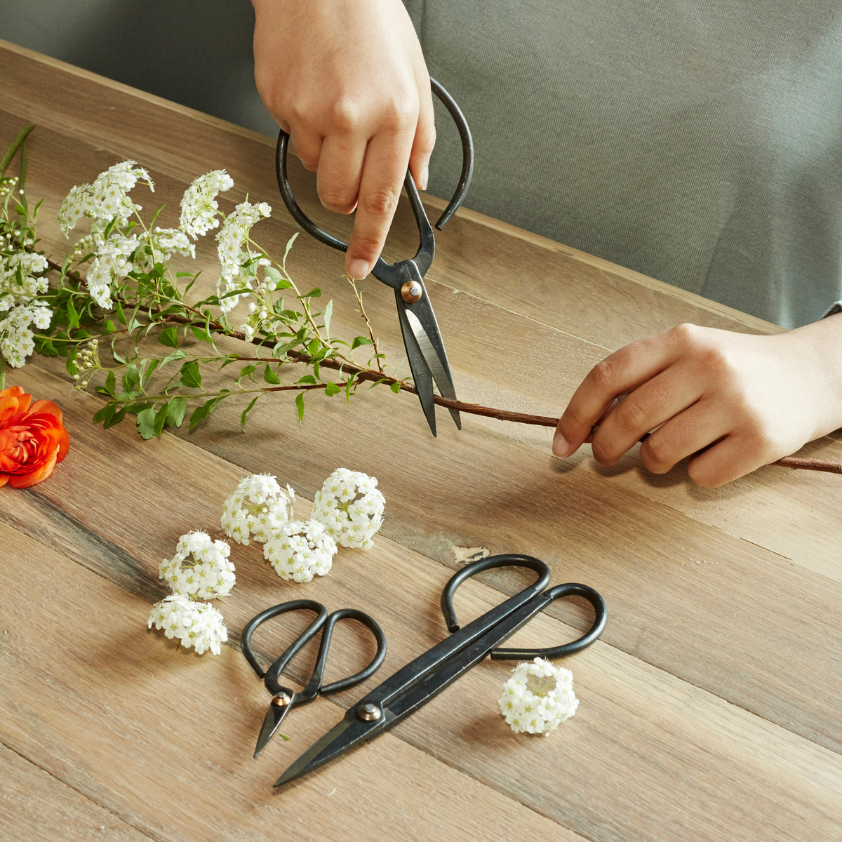Set of 3 Garden Sheers