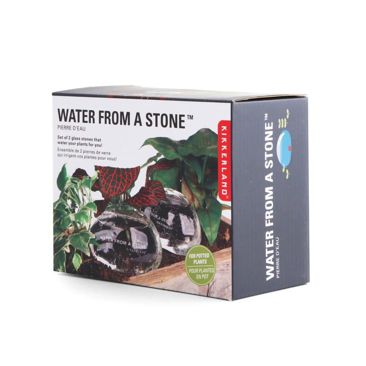 Water Rocks Set of 2