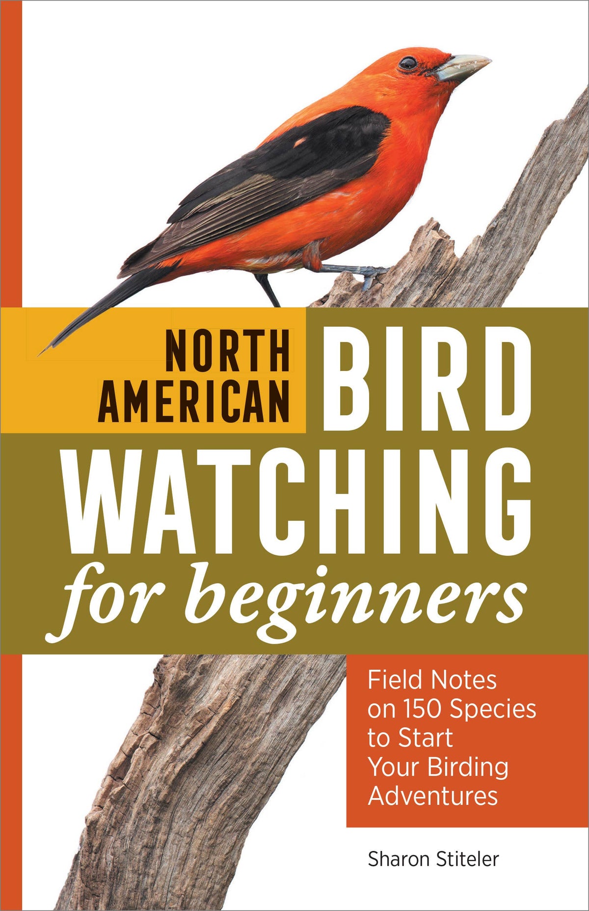 North American Bird Watching for Beginners