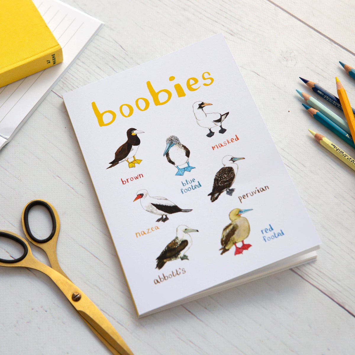 Boobies Recycled Notebook