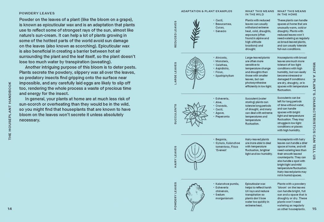 The Houseplant Handbook