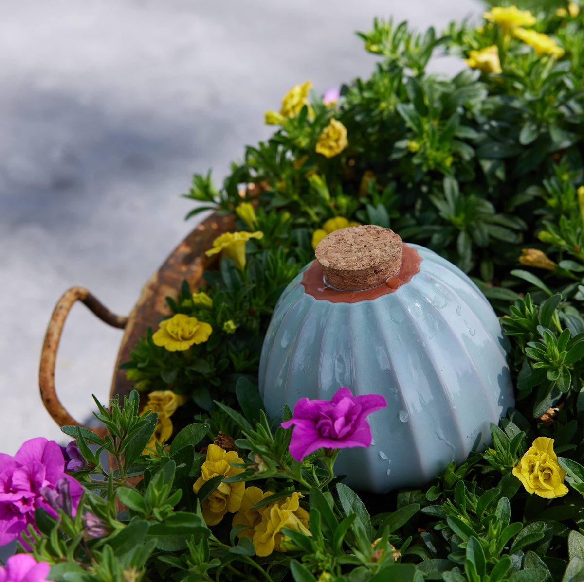 Terracotta Watering Bulb
