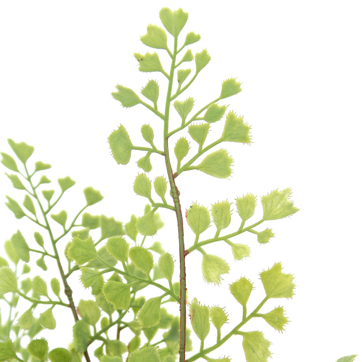 16" Faux Plant