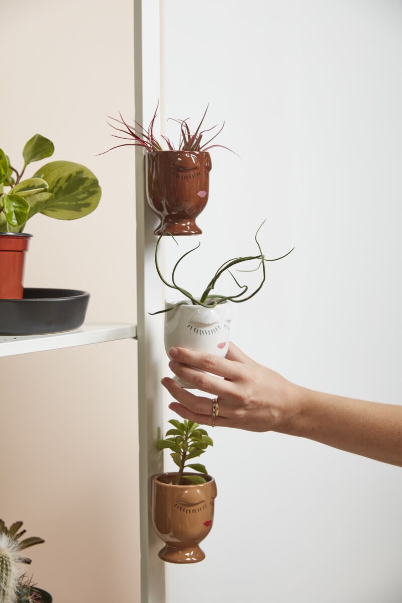 Celfie Magnetic Face Pot