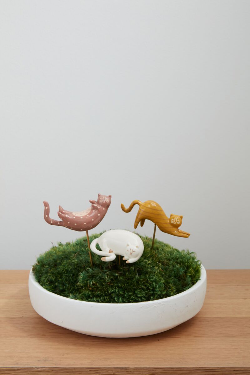 Curious Cats Plant Stick
