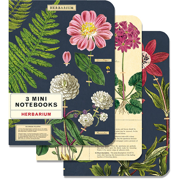 Set of 3 Mini Notebooks