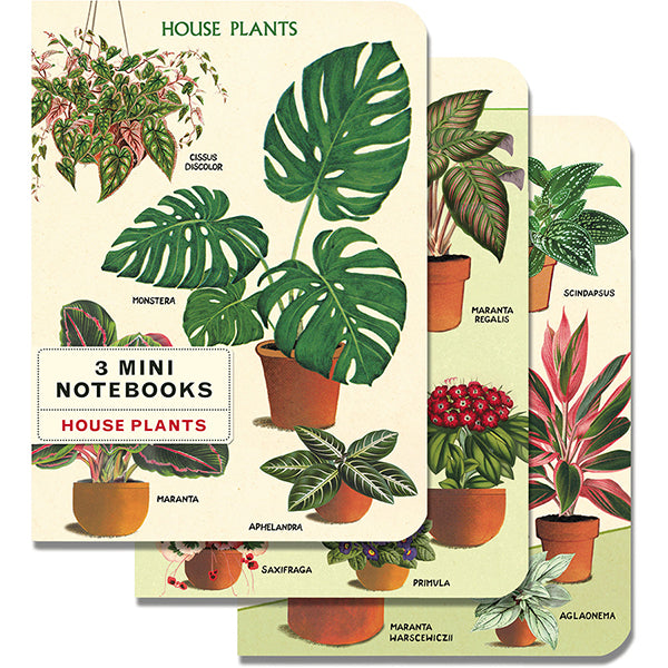 Set of 3 Mini Notebooks