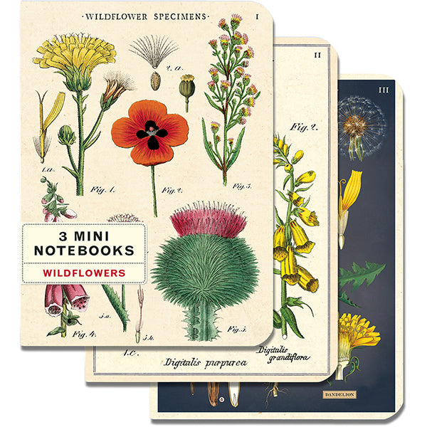 Set of 3 Mini Notebooks