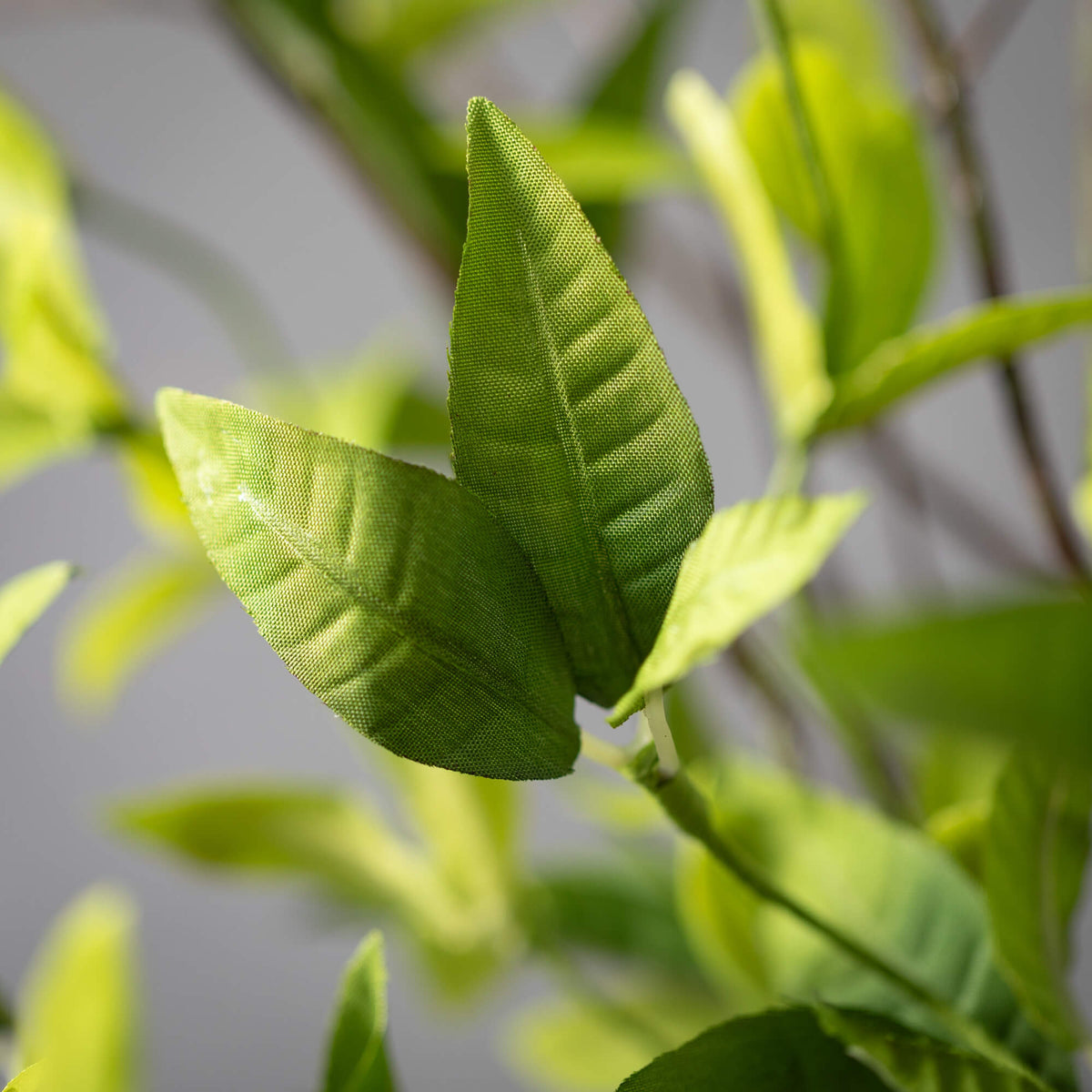 Ruscus Twig Garland