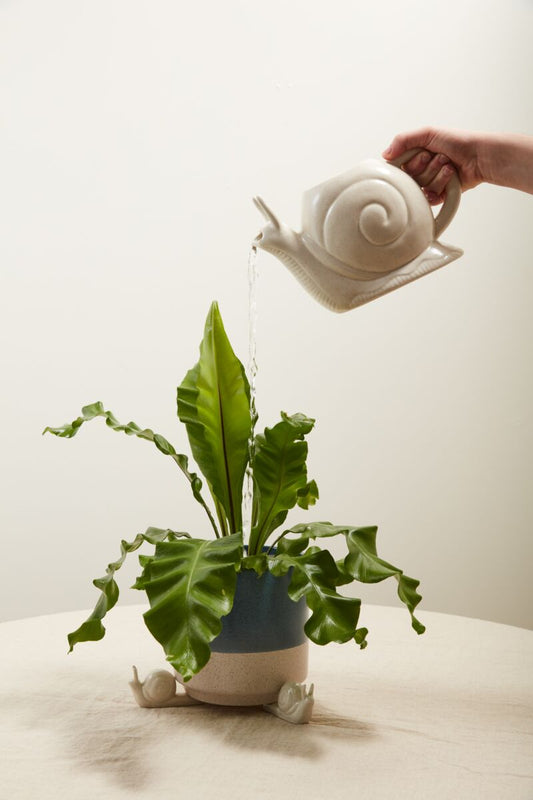 Slowpoke Watering Can