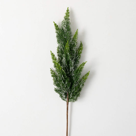 Frosted Green Cedar Spray