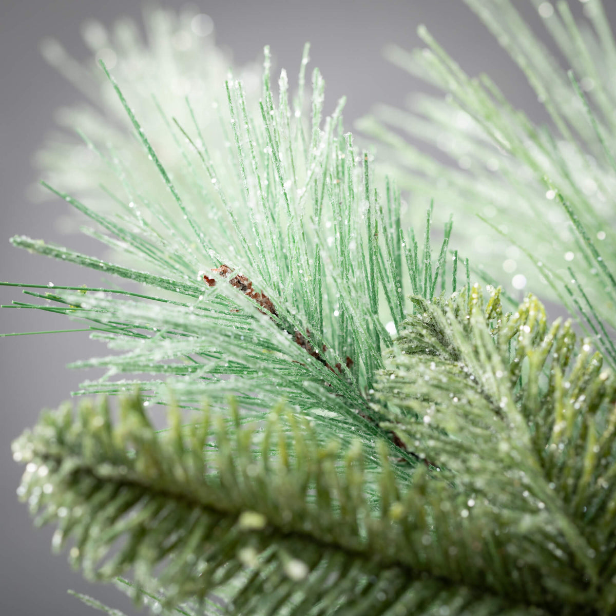 Green Frosted Pine Spray