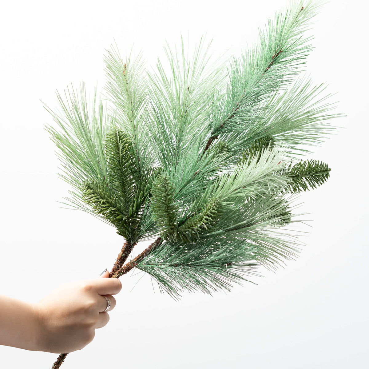 Green Frosted Pine Spray