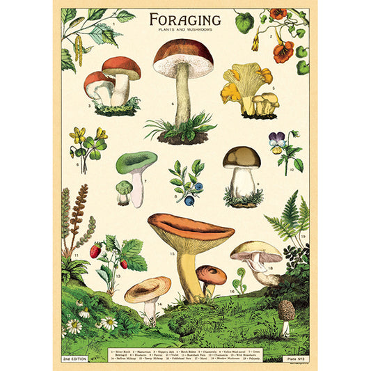 Vintage Botanical Poster