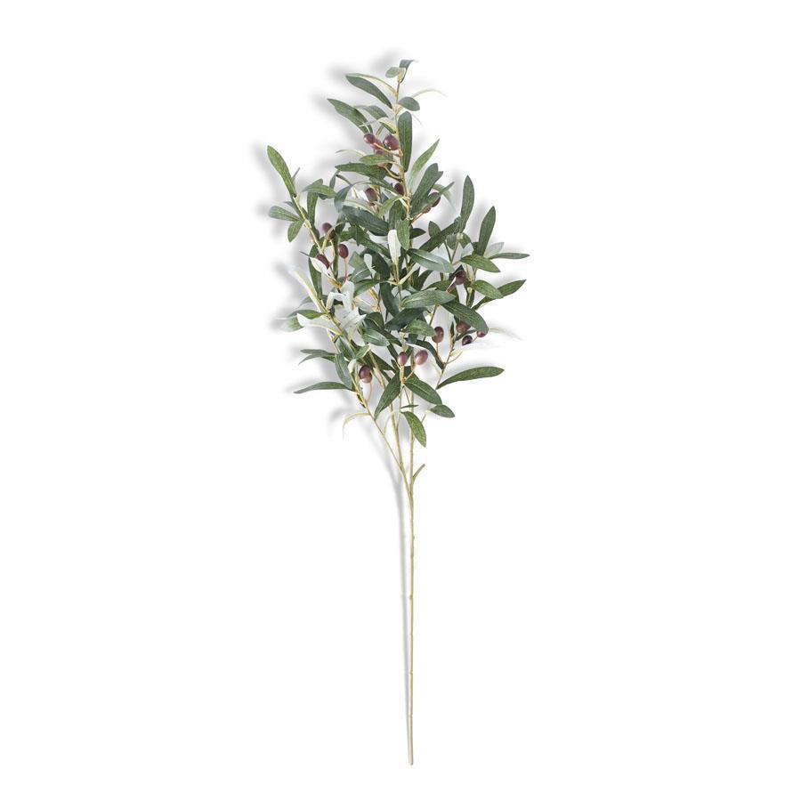 41.5in. Olive Branch Spay
