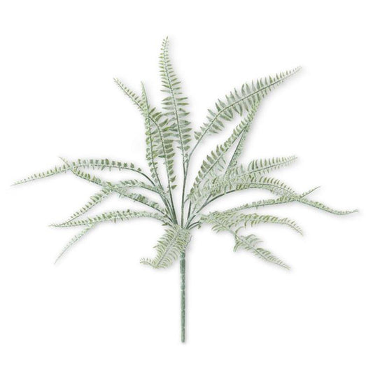 Powdered Fern Bush