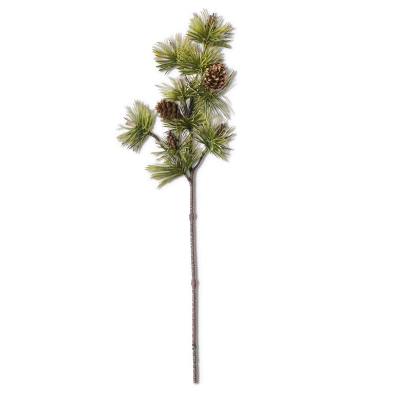 Long Needle Pine Stem w/ Pinecones