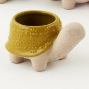Turtle Pot