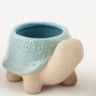 Turtle Pot