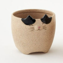 Cat and Dog Planter