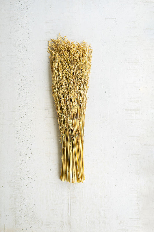 7oz. Bundle of Natural Sea Oats