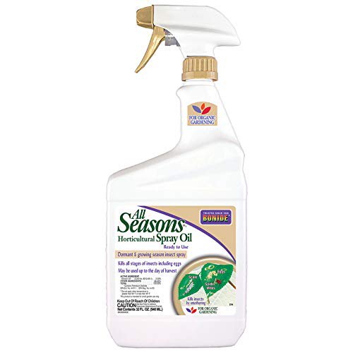 All Season Spray Oil